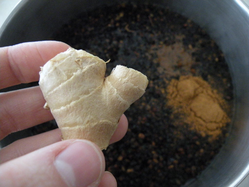 making your own elderberry syrup from scratch