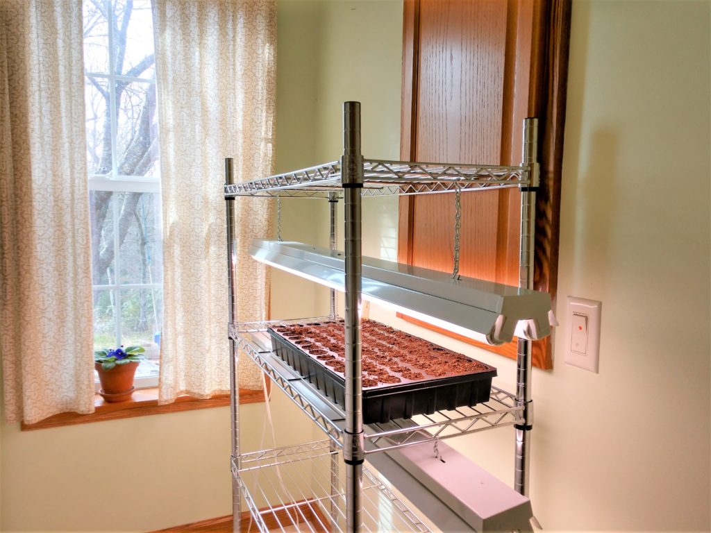 Here is my seed starting shelving and lighting system. Starting seeds indoors requires a little bit of planning, but then you are set up for years of success!