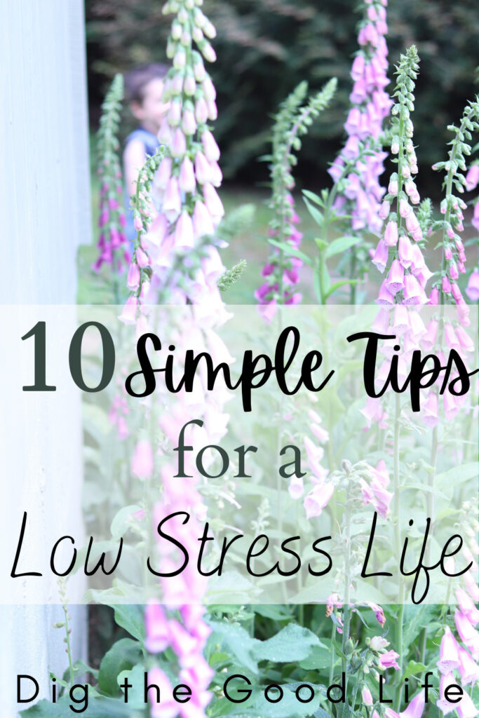 10 Simple Tips for a Low Stress Life