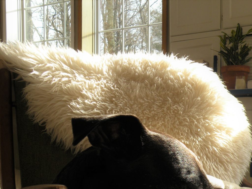 Sheepskin throw. Make your home feel cozier with these 4 tips.