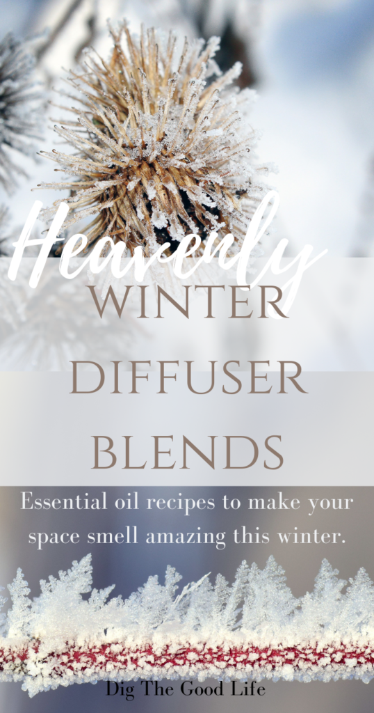 Winter Essential Oil Diffuser Blends with Recipes