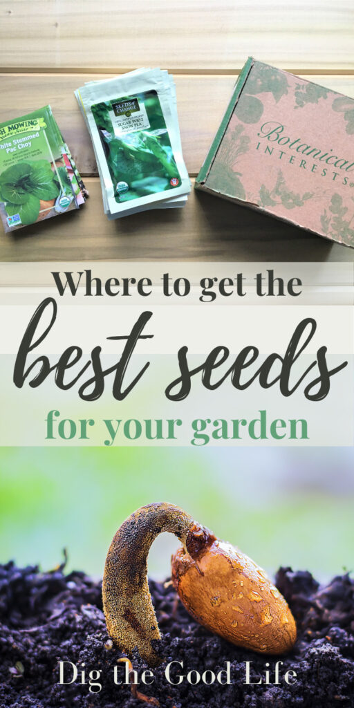 Find out some great places where you can get seeds for your garden!