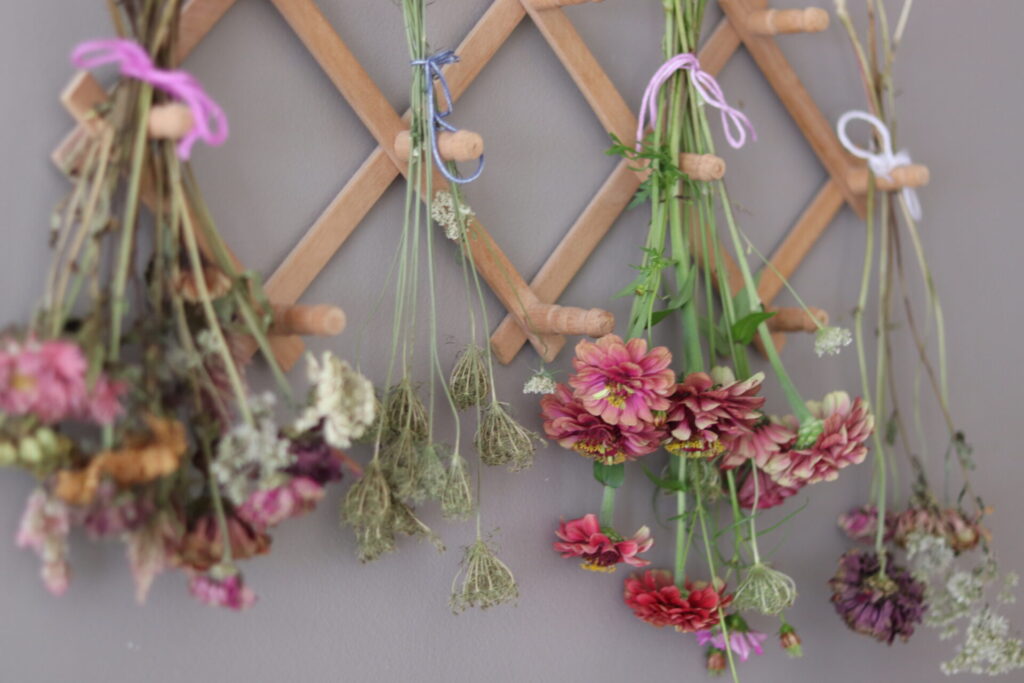 How to Dry Flowers in Silica Gel — Wild Petals Boutique- Calgary