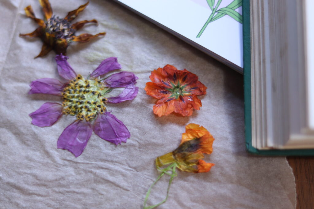 How to Dry and Press Flowers