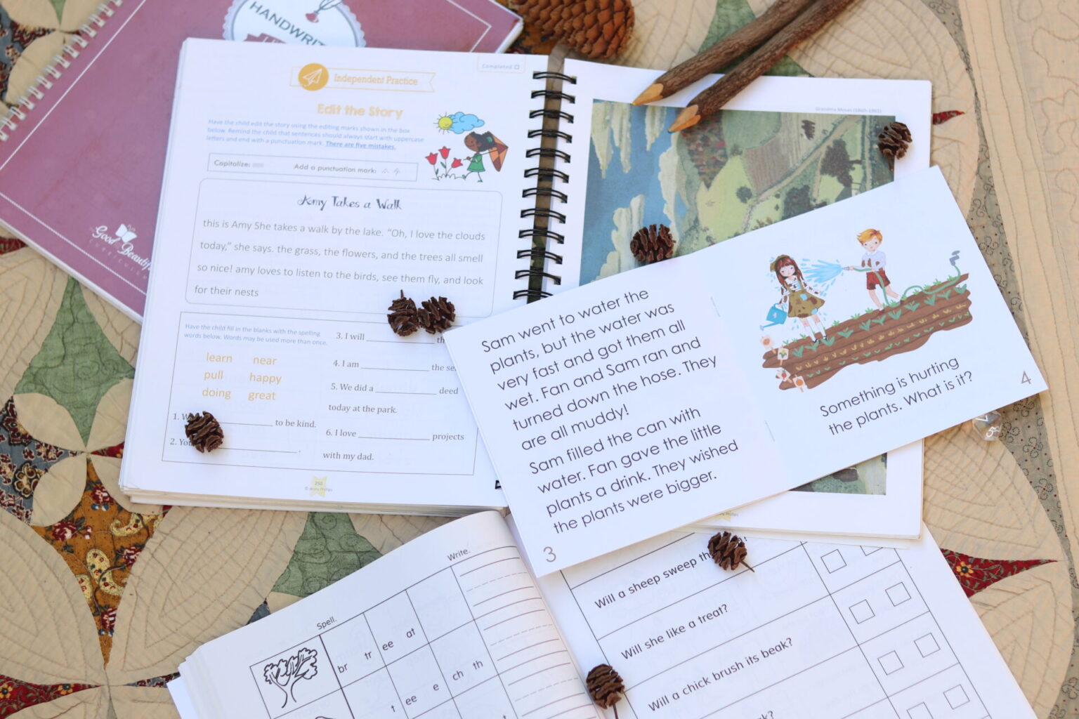 Homeschool Curriculum for 2nd Grade - Dig the Good Life
